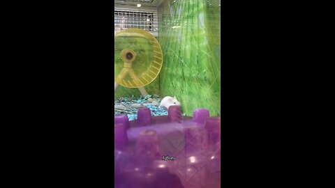 I don't know if he/she was having fun or wants out. 🙂🙃😀😎💎