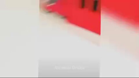 funny and cute animals acting