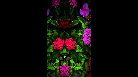 🔥 Surah An-Nisa 4:140 سورة النساء ⚡🚫🕋 #Quran #shorts #viral #love #youtubeshorts #trending #short