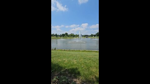 My Peaceful Place - Why Freedom Works