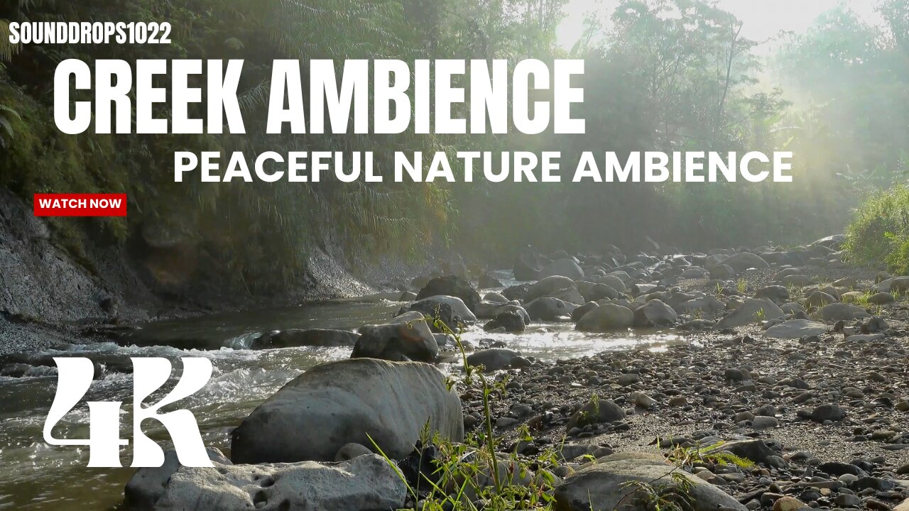 1 Hour Creek Ambience: Peaceful Nature Ambience