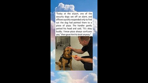 Sniffing Dog Sounds Alarm Over a Slice of Pizza