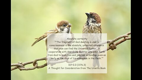 Absolute certainty