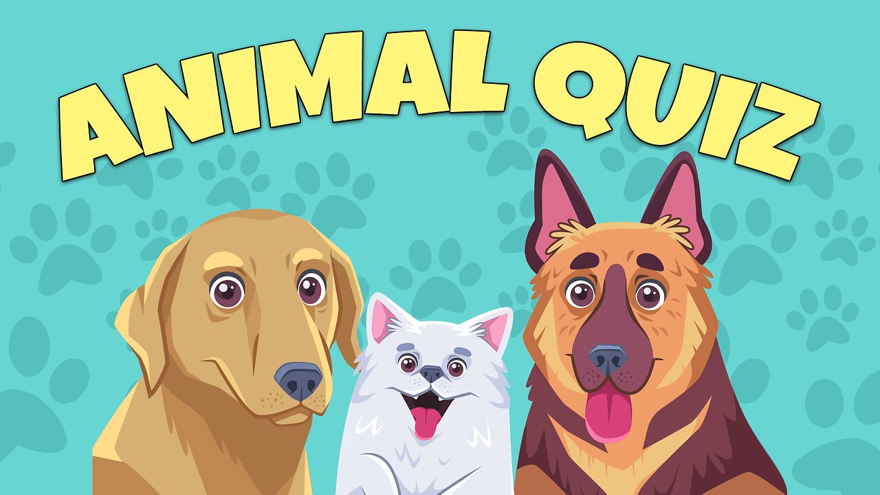 Animal Quiz