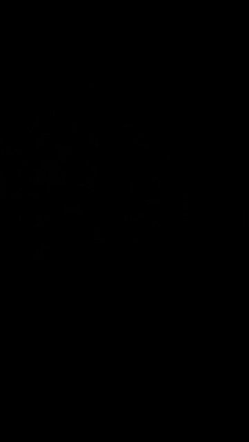 Companionship versus loneliness