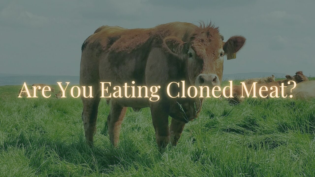 Ottawa Reclassifies Cloned Meat So You Won’t Know You’re Eating It