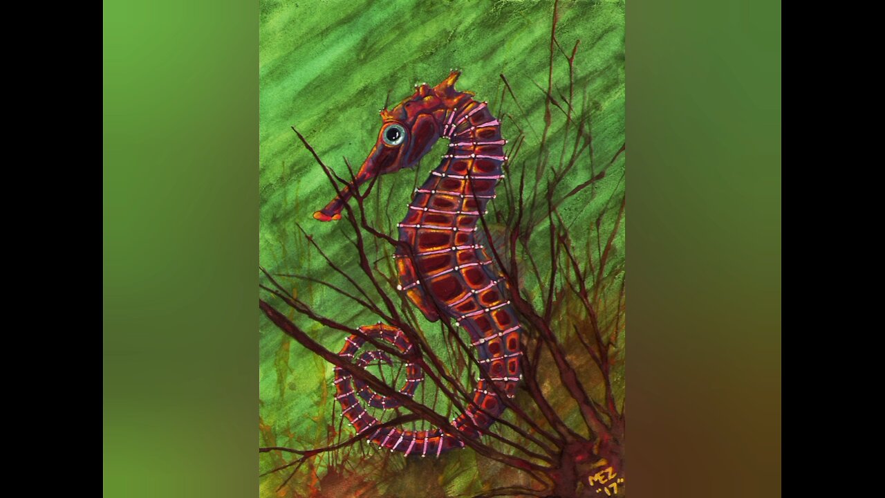 quick sea life art share