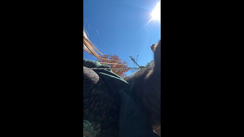 good morning sunshine