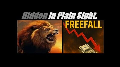 FREEFALL ECONOMIC POLICY (Its Not What You Think). FULL-BREAKDOWN. Mannarino