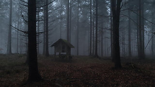 Spooky Halloween Ambience - HALLOWEEN SPECIAL - ASMR Halloween Walk