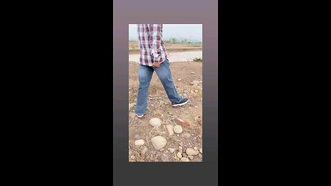 बसंती मत नाचना