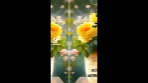 Beautiful vedio