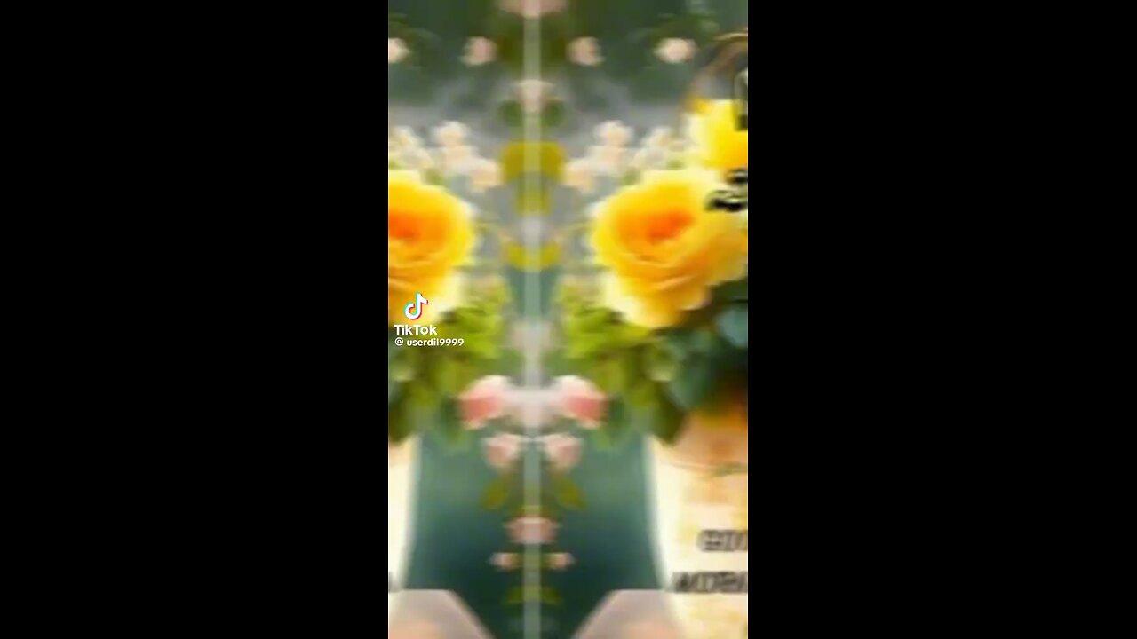 Beautiful vedio