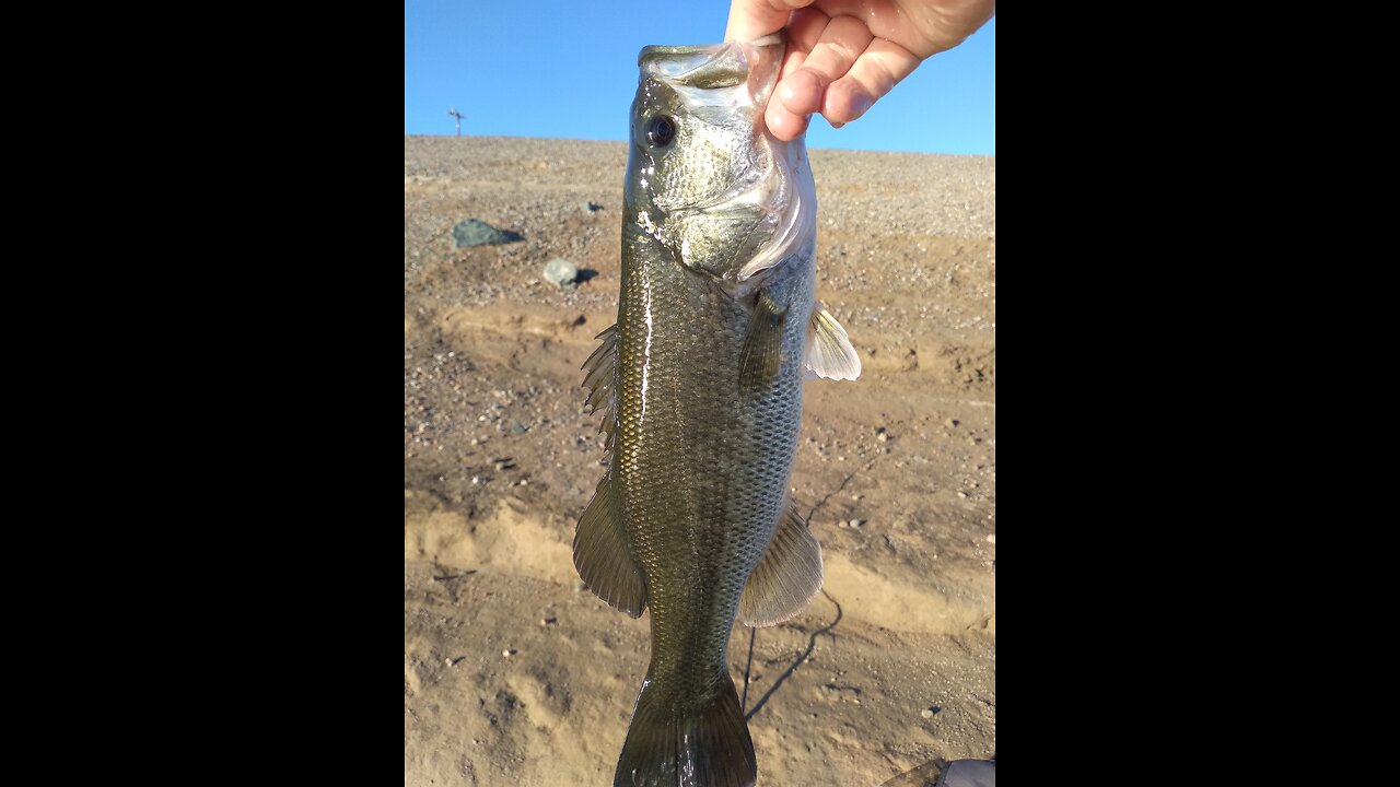 Trying Out New Double Fluke Rig