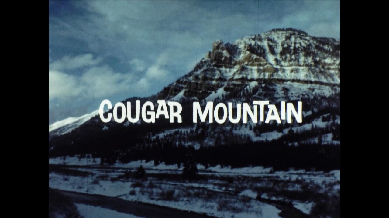 Mutual of Omaha's Wild Kingdom - "Cougar Mountain"
