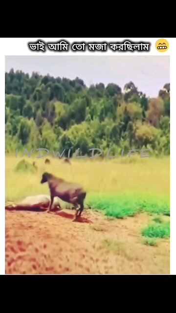 NEWSMAX2 LIVE | Real News for Real People? Too funny!How cute is that.. | Please Follow me