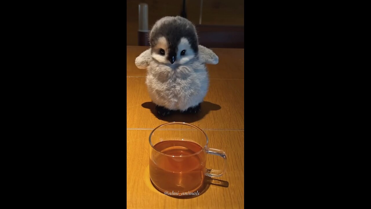 Cute little penguin