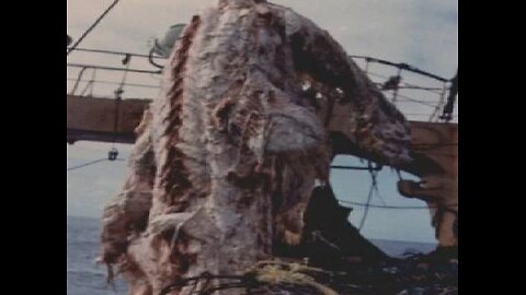 Sanriku Nessie