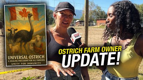 B.C. ostriches survive the weekend, farm plans next steps to fight cull order
