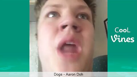 Best Vines of (November, 2025)