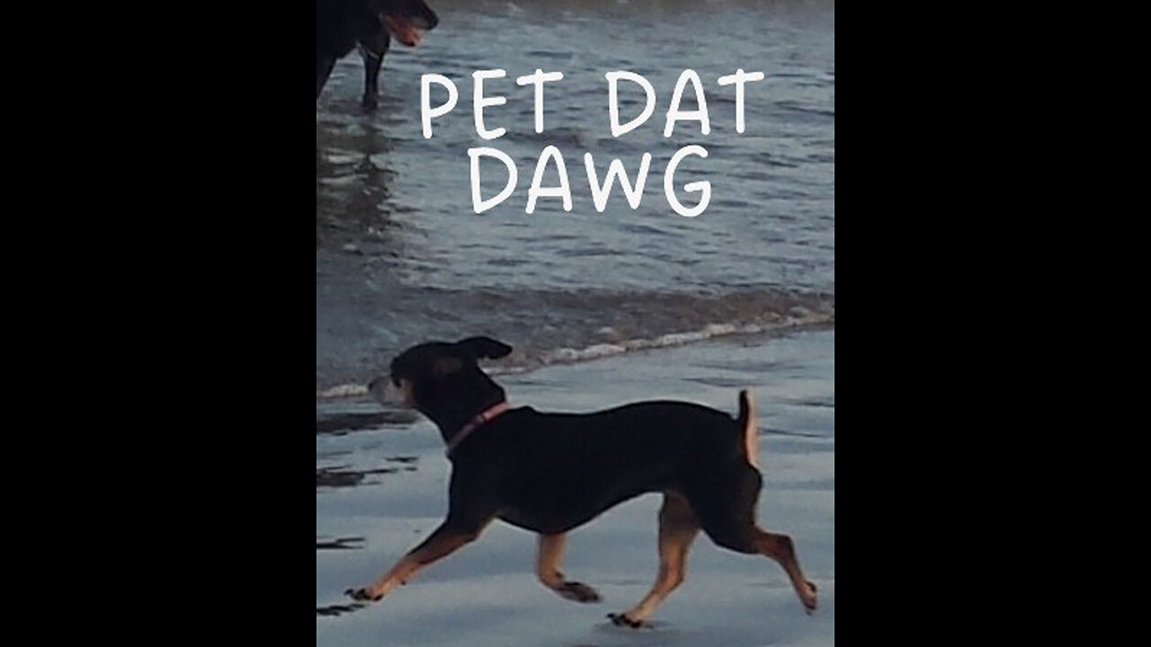 Pet Dat Dawg