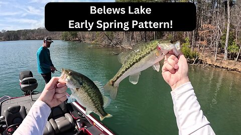 Belews Lake Spring Pattern!