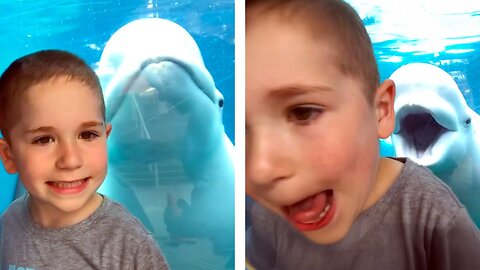 Epic Fails Gone Viral 😂 Top Funny Videos 2025