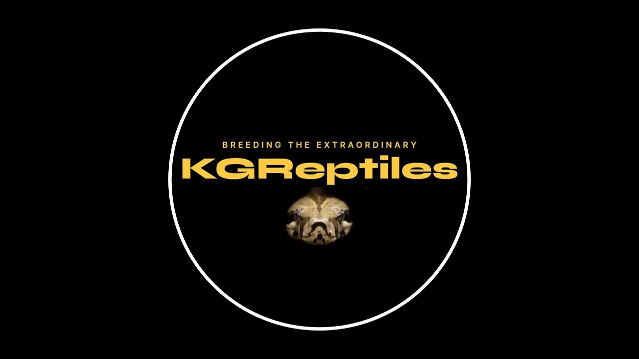 New items for the reptile room..