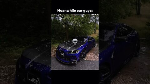 Car or labubu?