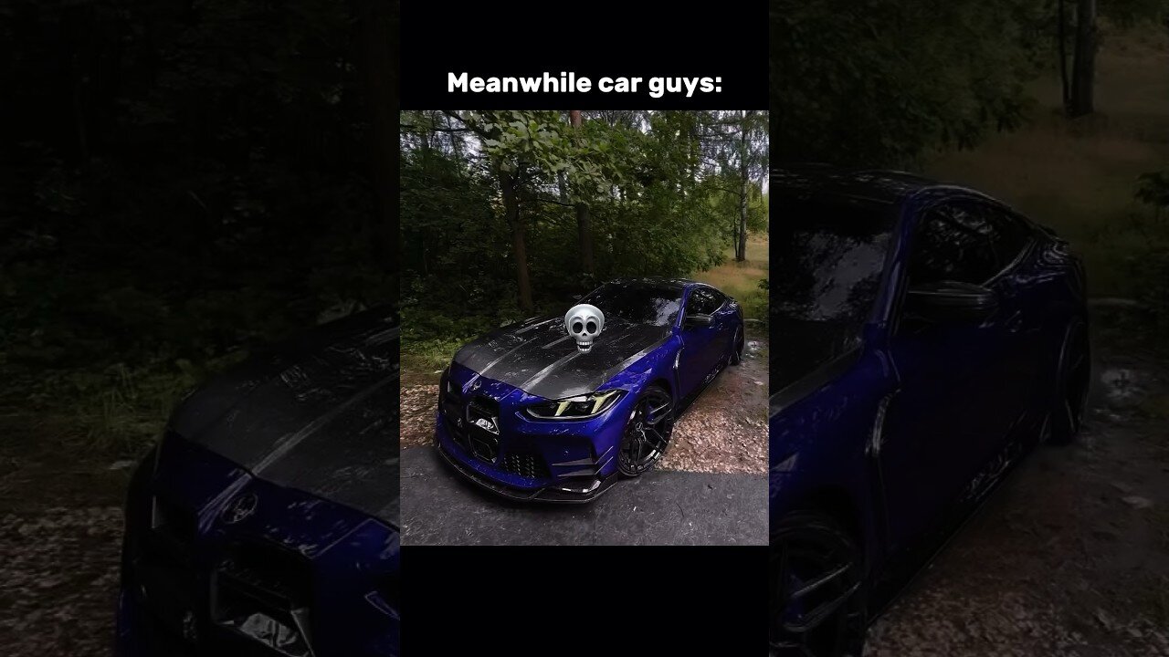 Car or labubu?