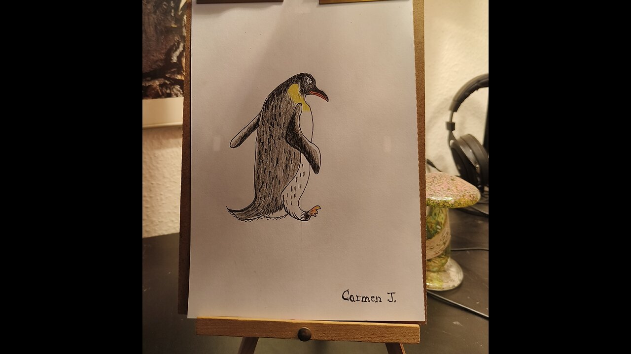 Penguin - Pingüino - Pingvin