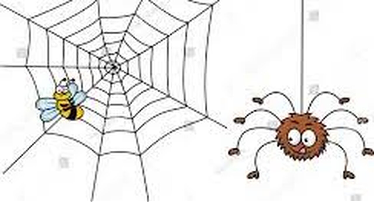 Spider Killing a Fly