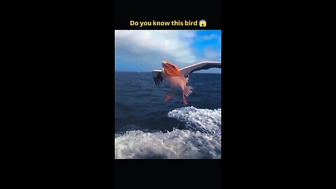 #Timing🔥
