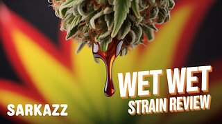 WET WET 🌊 Strain Review | Juicy Terps, Heavy Highs & Why It Stands Out