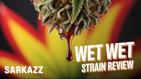 WET WET 🌊 Strain Review | Juicy Terps, Heavy Highs & Why It Stands Out