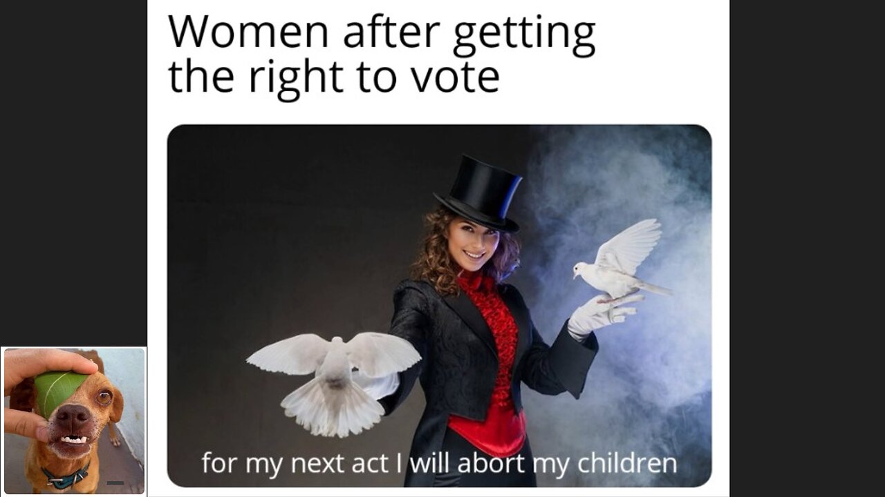 Memes That Will 99.0455% Make You Laugh. (e679)