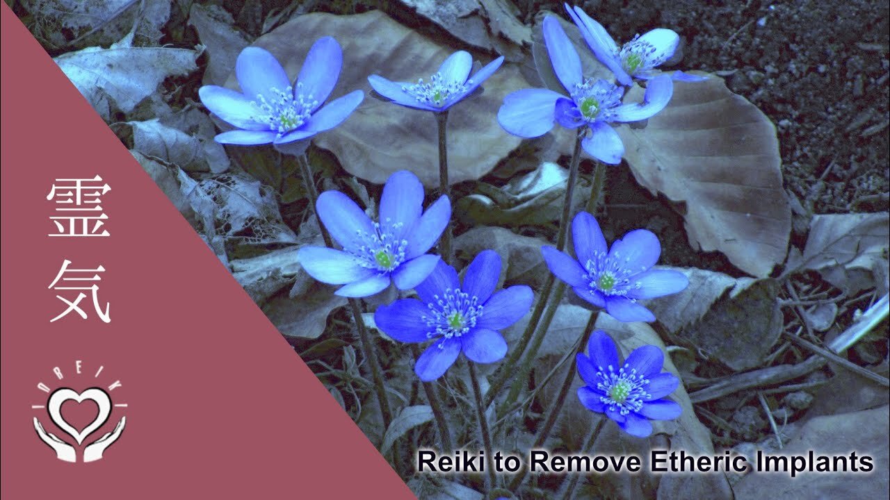 Reiki for Removing Etheric Implants