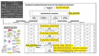 SHITS & GIGGLES: ELON'S LONG GAME a SCHEMATIC ADMINISTRATIVE CHART OF z COUP DE'TAT part.2 6-6-2