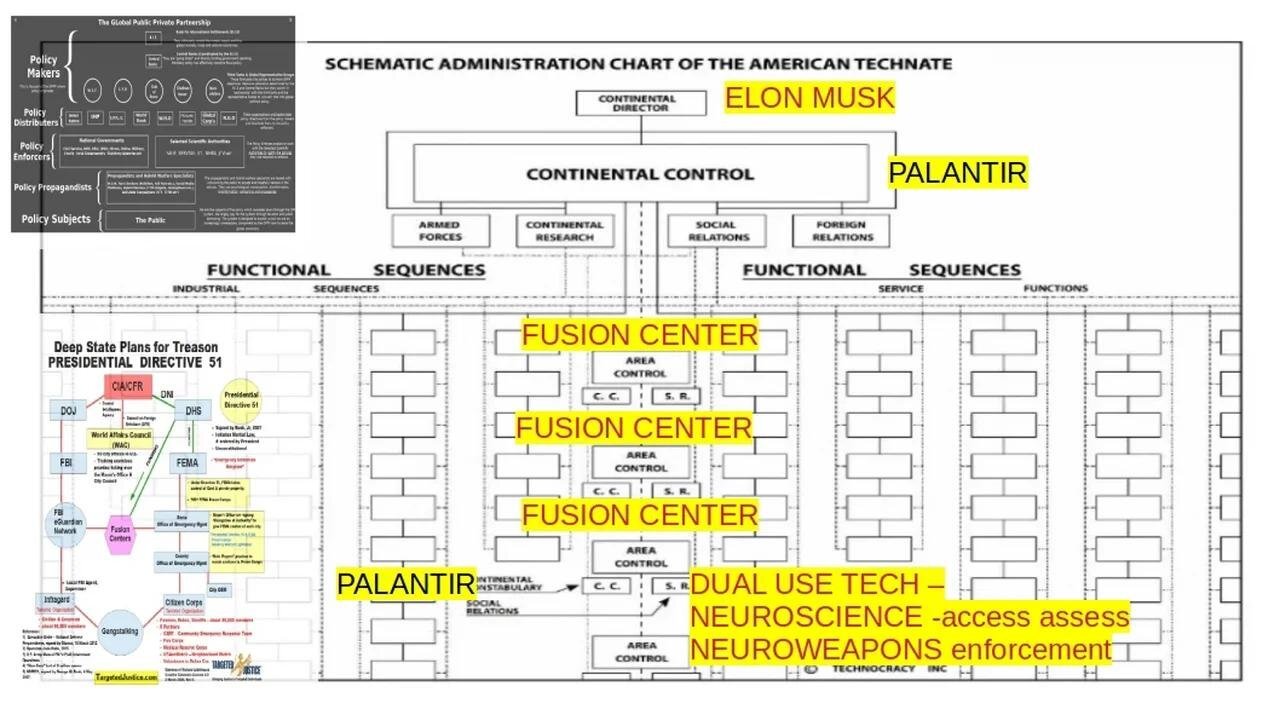 SHITS & GIGGLES: ELON'S LONG GAME a SCHEMATIC ADMINISTRATIVE CHART OF z COUP DE'TAT part.2 6-6-2