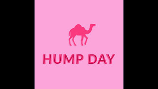 Wednesday Morning LIVE