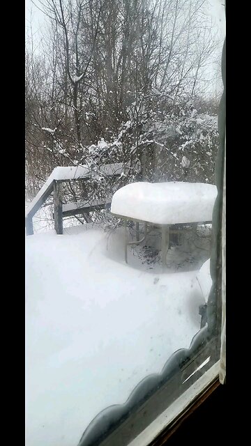 Winter Storm Of 01 24 2026 And When It Ended 01 25 2026 Vernon Illinois