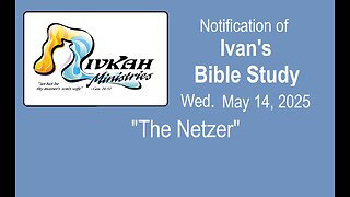 The Netzer