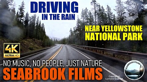 Driving in the Rain Near Yellowstone National Park