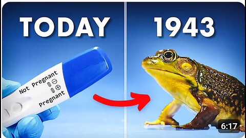 Why Frogs Were Used As Pregnancy Tests 🐸