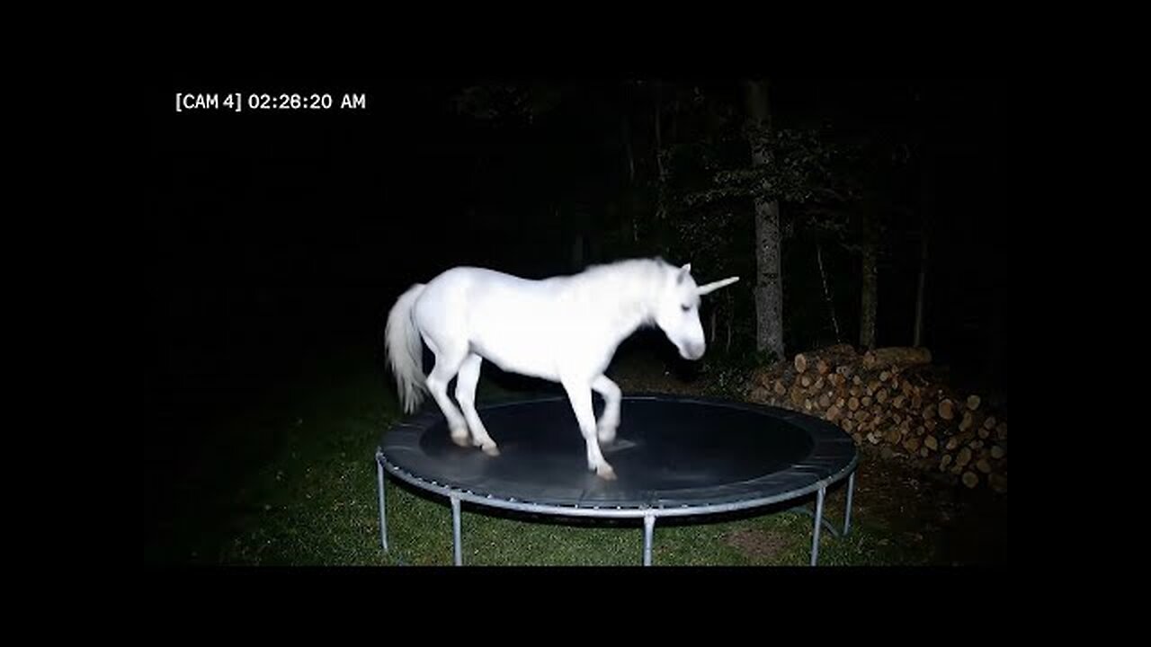 CCTV Camera : Caught Unicorn and Other Animals Jumping On The Trampoline At 3Am.