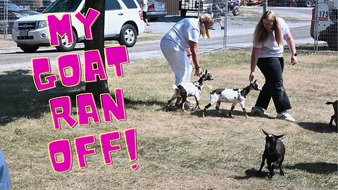 My FIRST Ever GOAT Show! It Was A DISASTER !