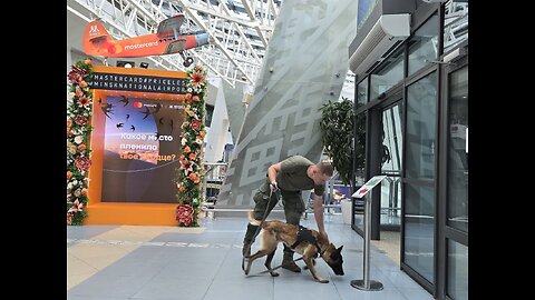 A seminar-training was held at the airport base among canine specialists
