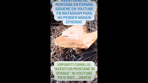 Cataluña Fe y Pasión