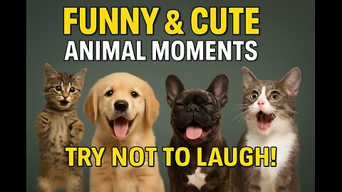 😂 Adorable Cats & Dogs Doing Hilarious Things!