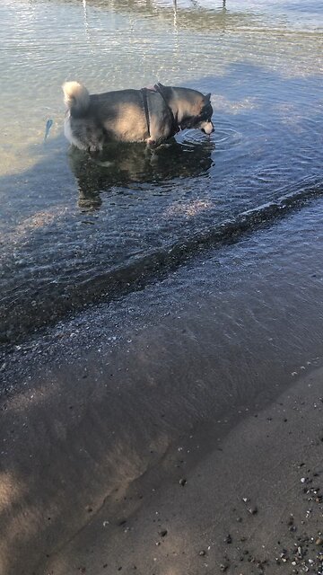 Tuesday September 2, If you confess with your mouth that Jesus is Lord.